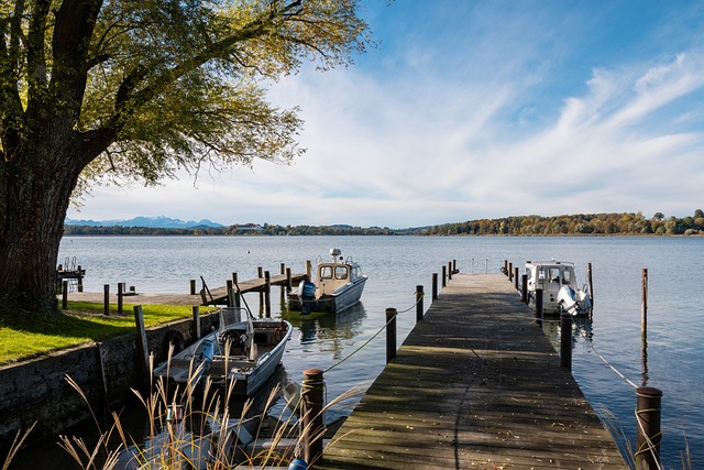 这与近年来 这与近年来