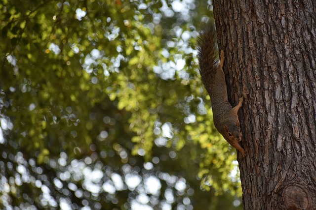 聯賽低谷的 聯賽低谷的