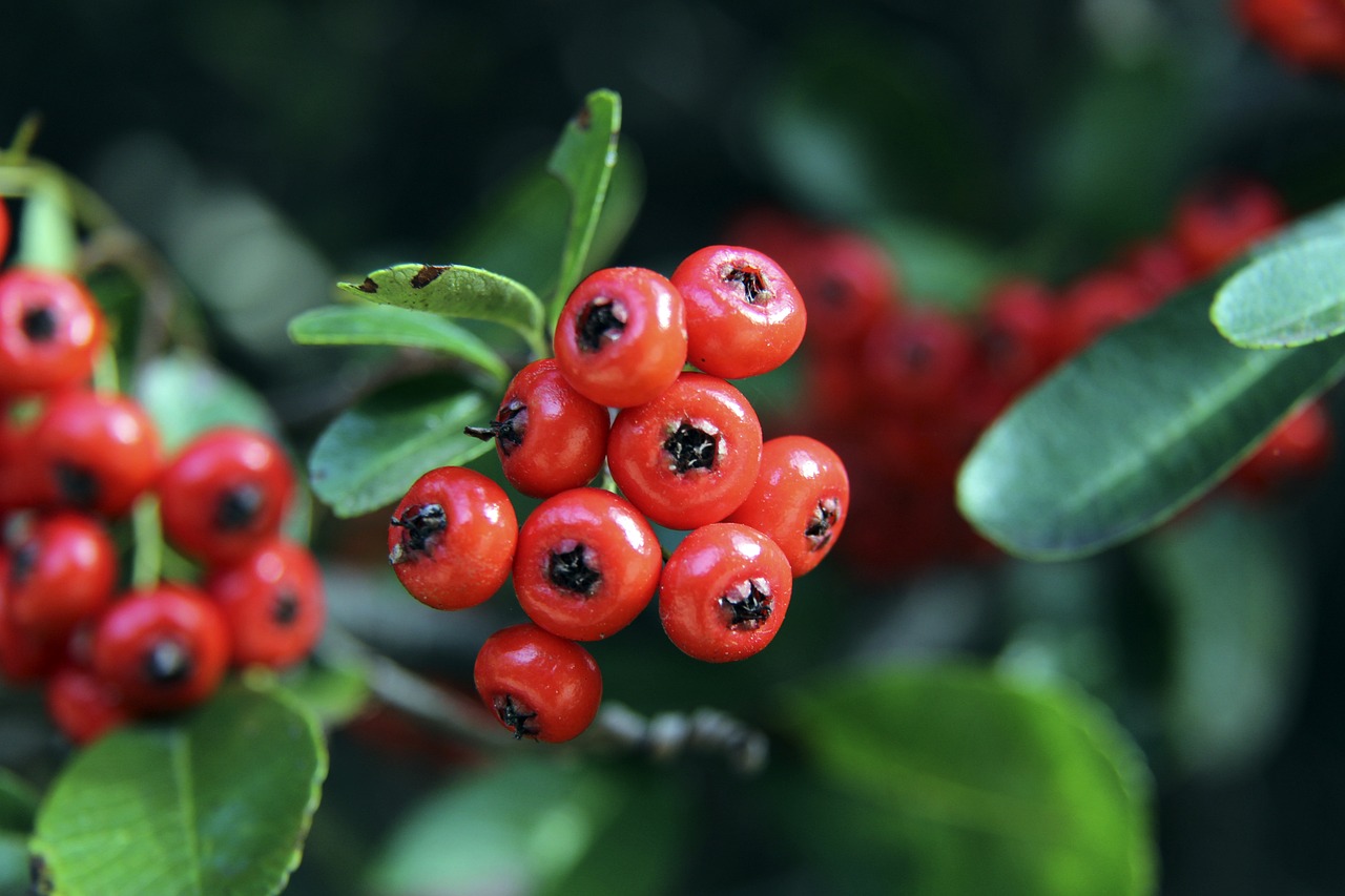 这使得她不 这使得她不