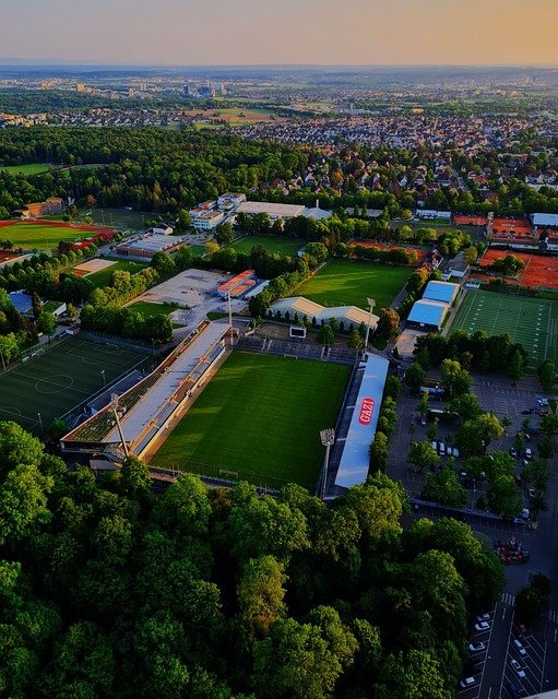 市場化運行 市場化運行