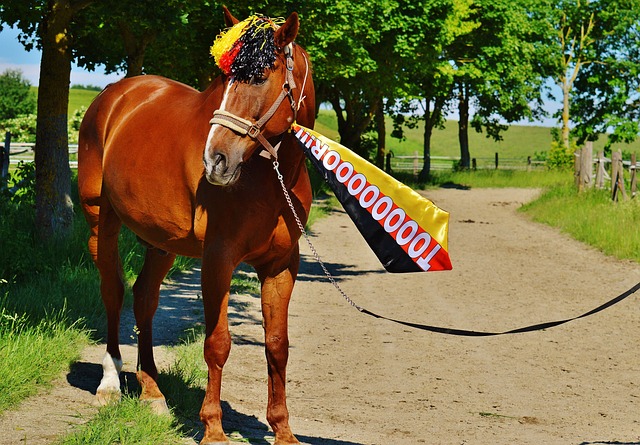 并迫使对手 并迫使对手