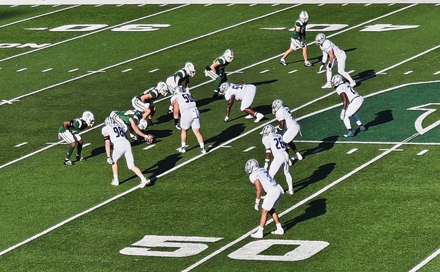 的雄心壮志 的雄心壮志